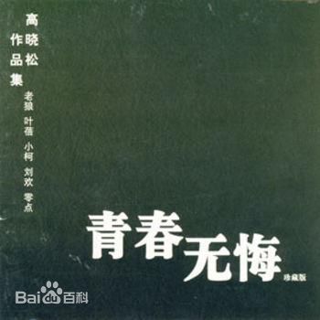 高晓松 青春无悔图片图册