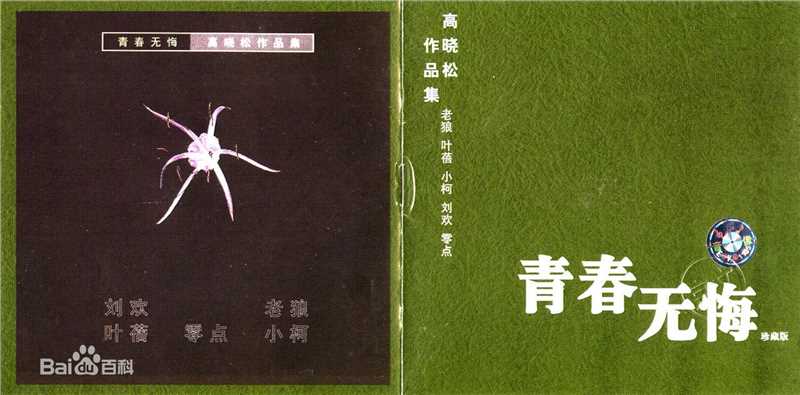 高晓松 青春无悔图片图册