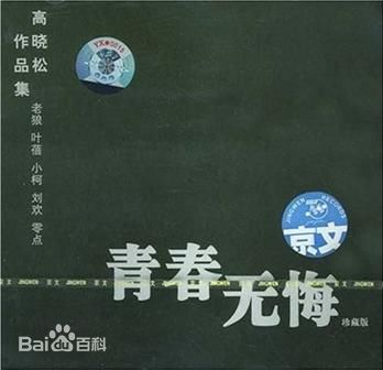 高晓松 青春无悔图片图册