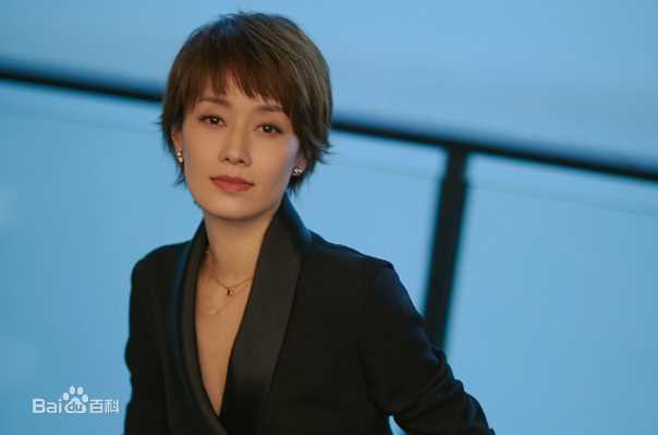 马伊琍(Ma Yili)概述图册前后照片