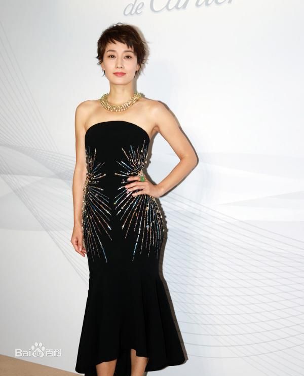 马伊琍(Ma Yili)概述图册前后照片