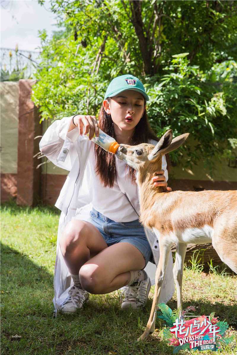 最新宋祖儿(lareina)在《花儿与少年第三季》中的壁纸