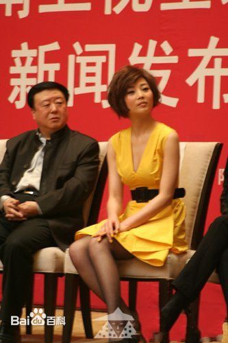 最全尤小刚在《杨贵妃秘史》宣传活动中的壁纸