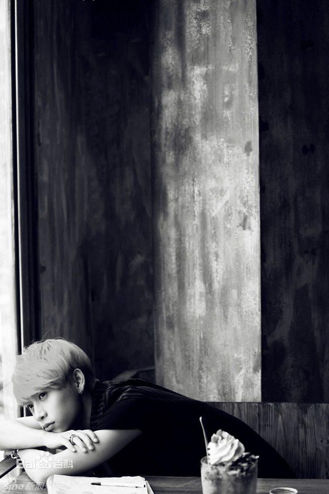 魏晨(Vision Wei)最优质