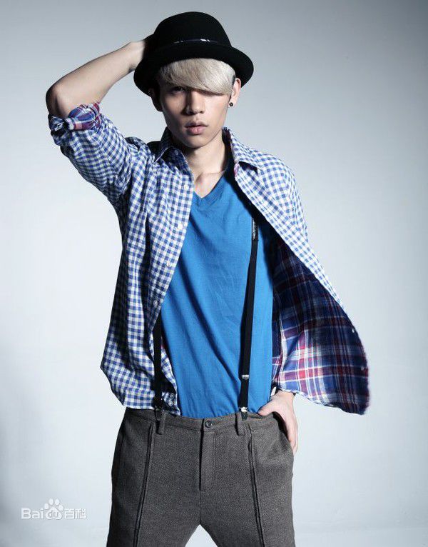 魏晨(Vision Wei)最优质