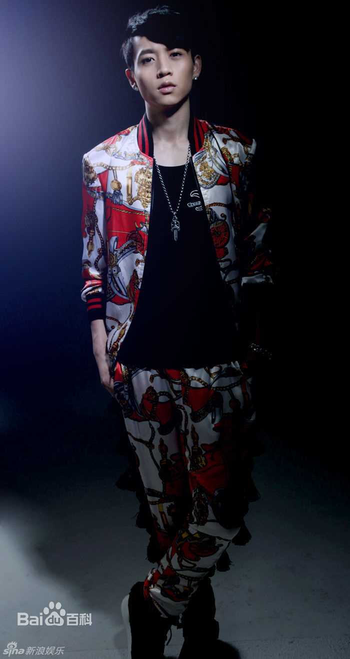 魏晨(Vision Wei)最优质