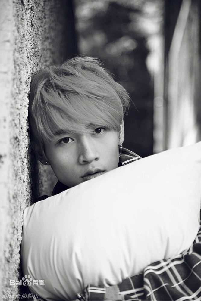 魏晨(Vision Wei)最优质