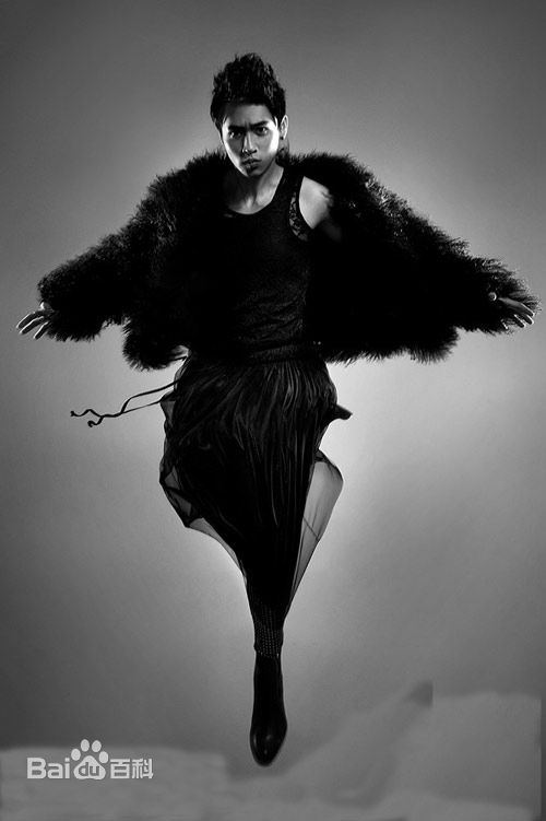 魏晨(Vision Wei)最优质