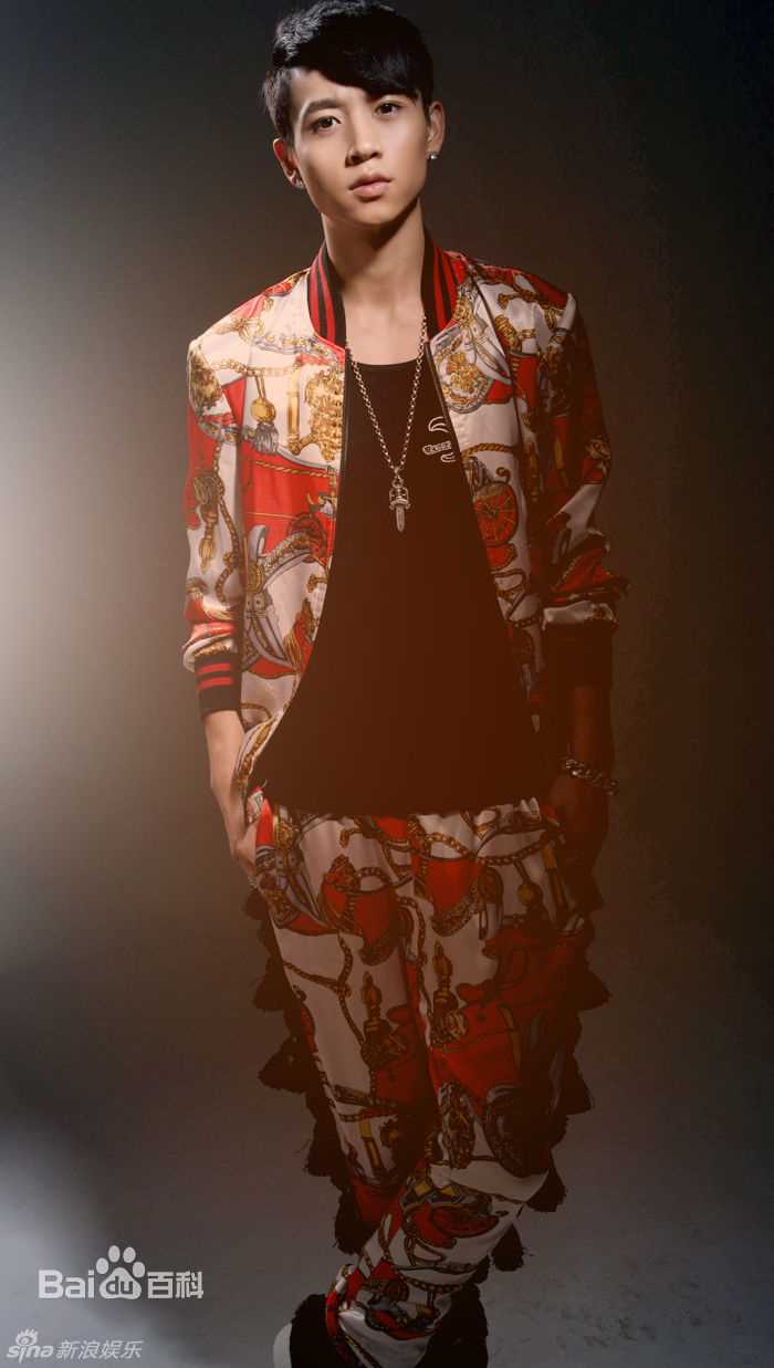 魏晨(Vision Wei)最优质