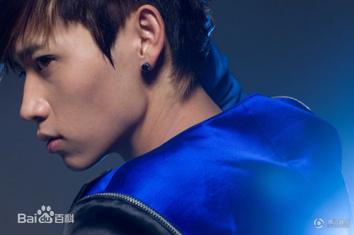 最新魏晨(Vision Wei)在专辑《千方百计》中的壁纸