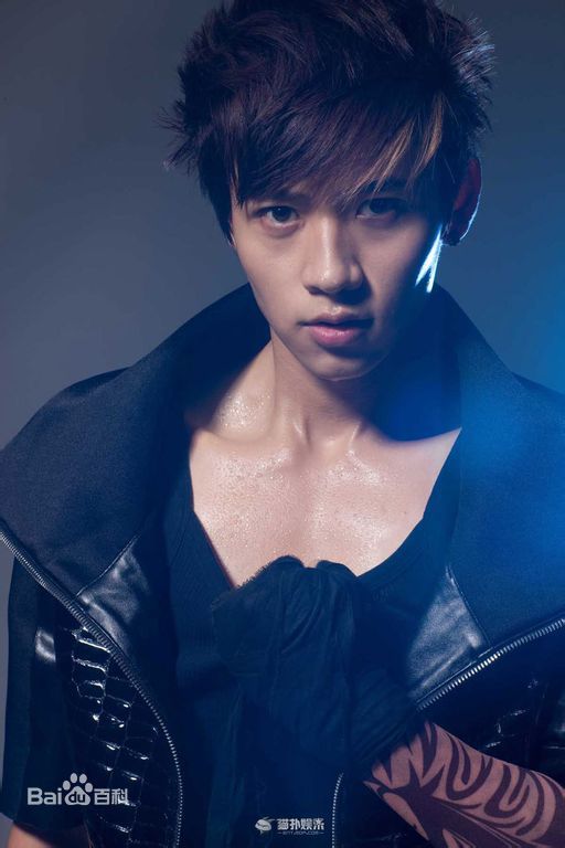 最新魏晨(Vision Wei)在专辑《千方百计》中的壁纸