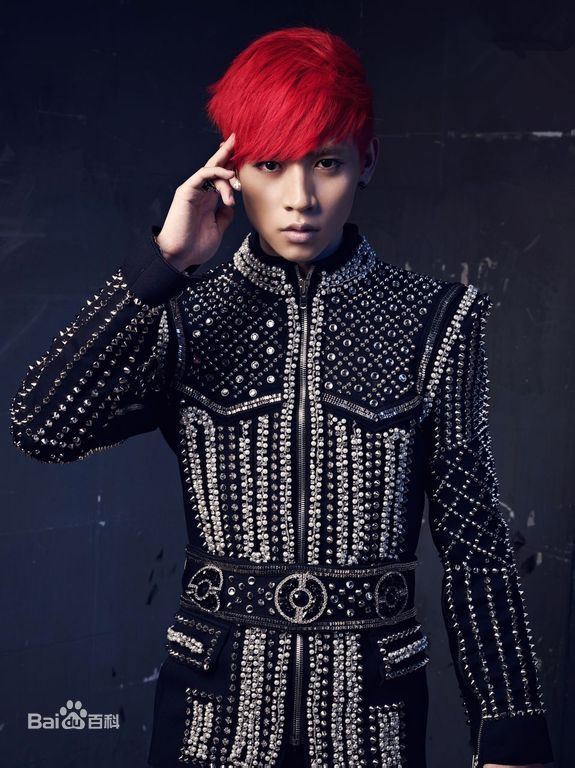 精选魏晨(Vision Wei)在专辑《V SPACE》中的图册