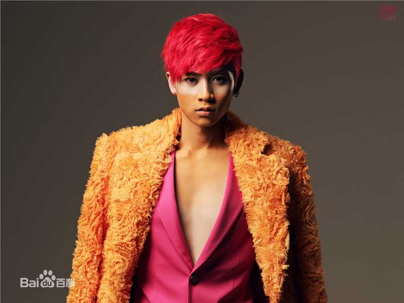 精选魏晨(Vision Wei)在专辑《V SPACE》中的图册