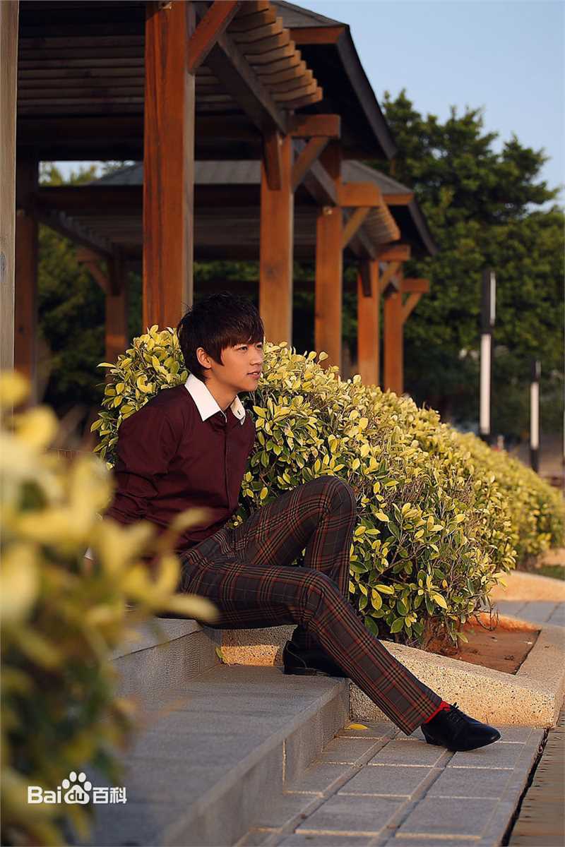 最全魏晨(Vision Wei)在《一起来看流星雨》饰演叶烁中的壁纸