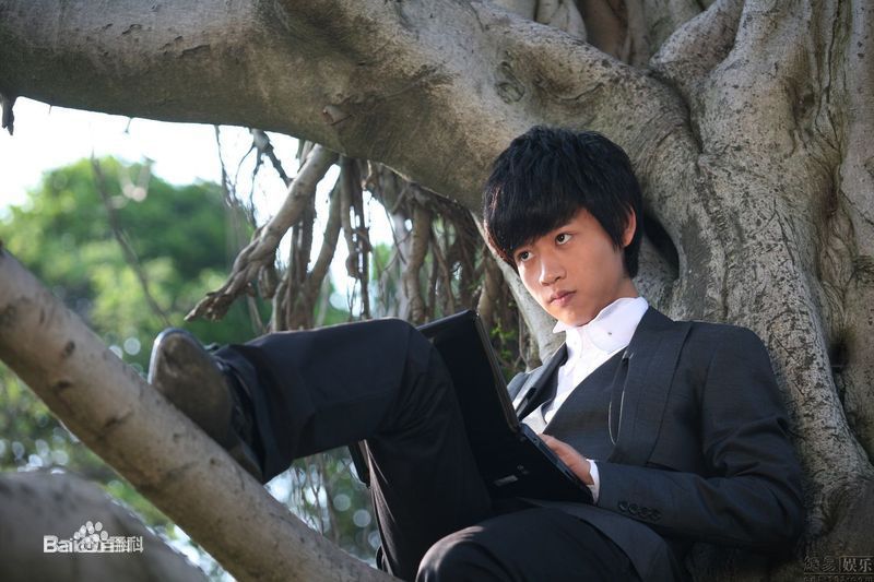 最全魏晨(Vision Wei)在《一起来看流星雨》饰演叶烁中的壁纸