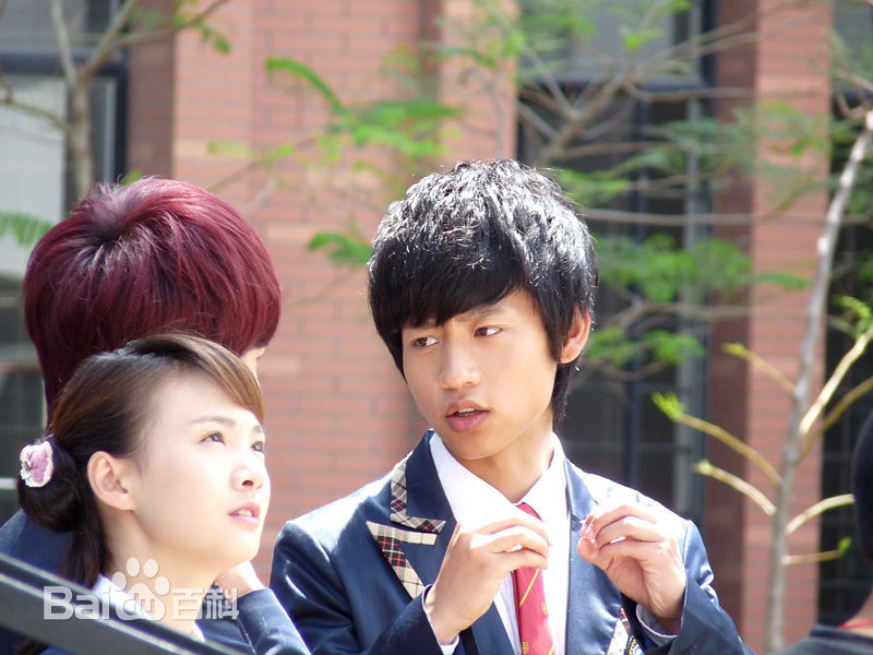 最全魏晨(Vision Wei)在《一起来看流星雨》饰演叶烁中的壁纸