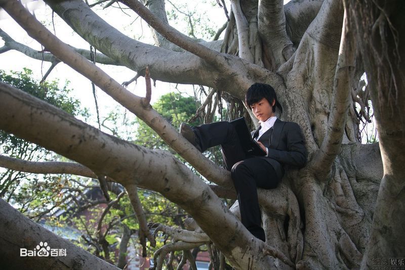 最全魏晨(Vision Wei)在《一起来看流星雨》饰演叶烁中的壁纸