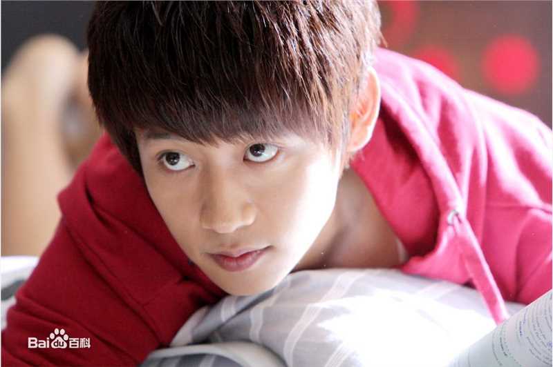 最全魏晨(Vision Wei)在《一起来看流星雨》饰演叶烁中的壁纸