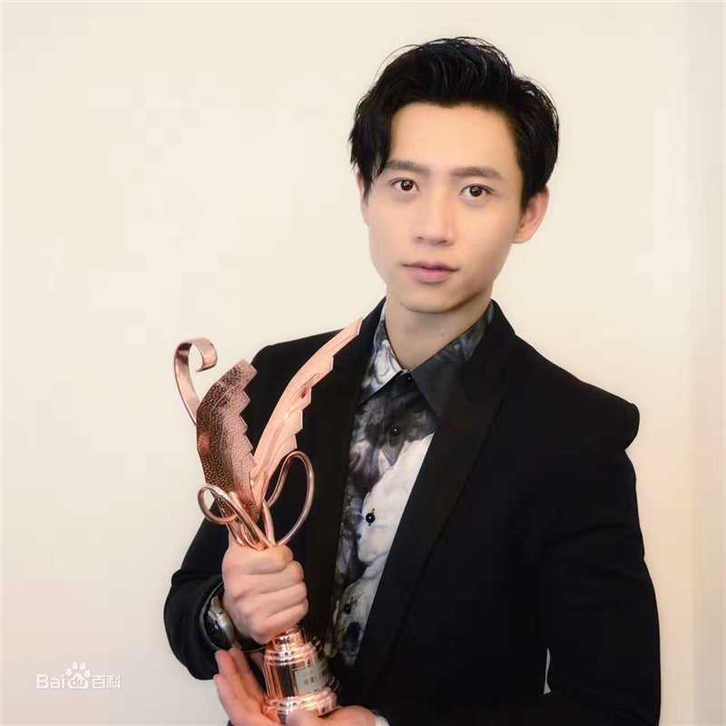 魏晨(Vision Wei)音乐盛典性感图片图集