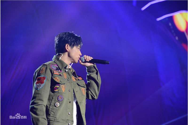 魏晨(Vision Wei)2016-2017四川卫视跨年前后照片