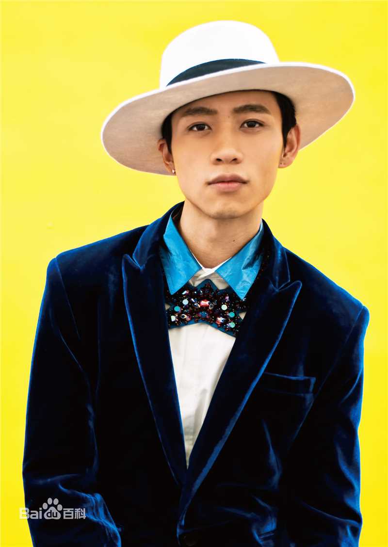 精选魏晨(Vision Wei)在2014专辑《帽子戏法》中的图册