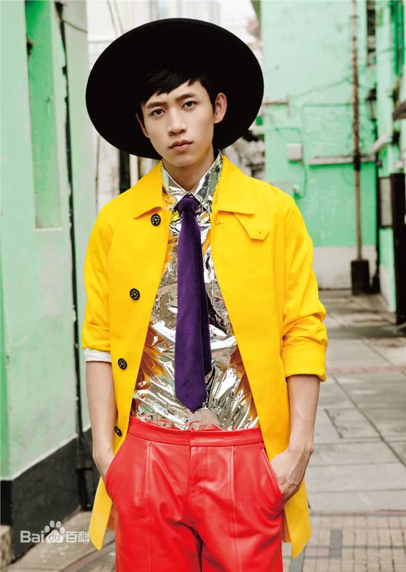 精选魏晨(Vision Wei)在2014专辑《帽子戏法》中的图册