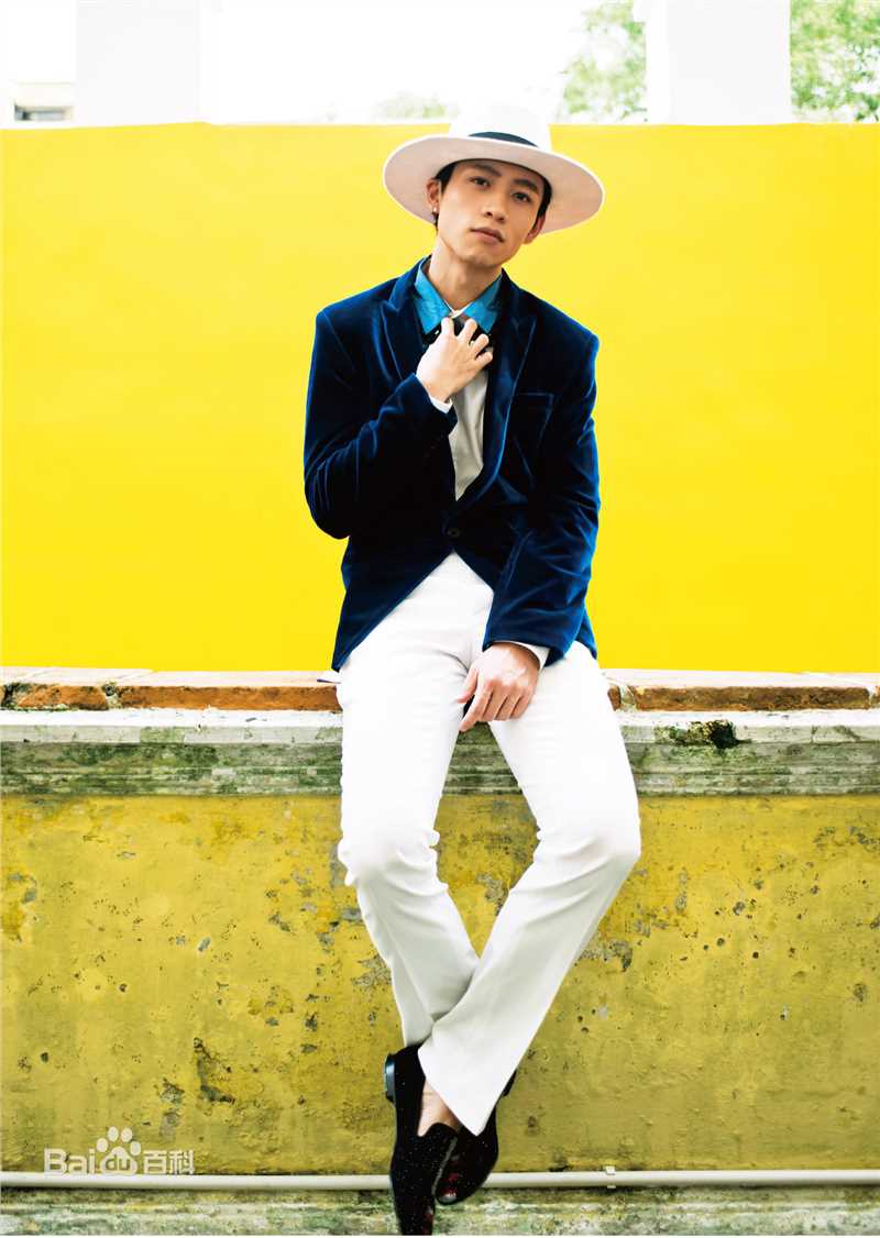 精选魏晨(Vision Wei)在2014专辑《帽子戏法》中的图册