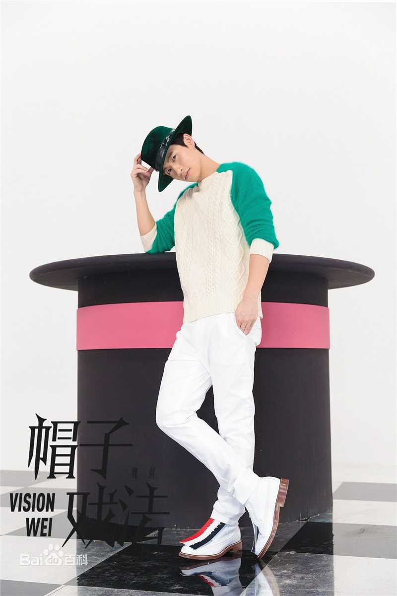 精选魏晨(Vision Wei)在2014专辑《帽子戏法》中的图册