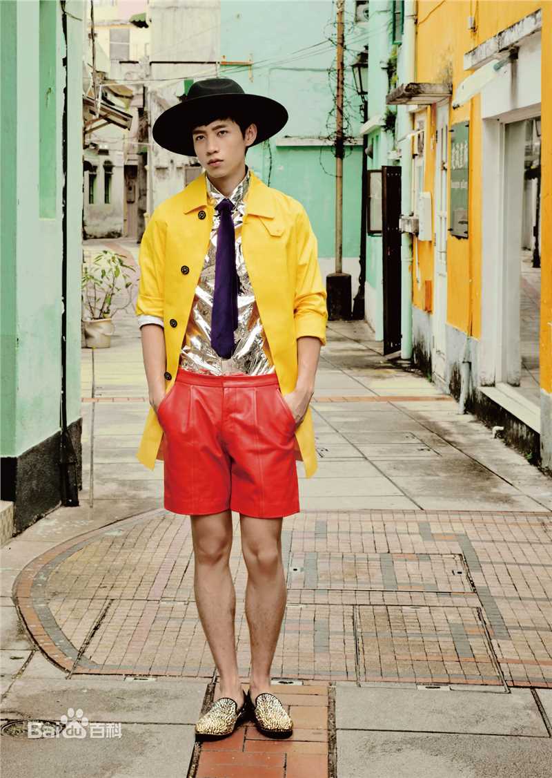 精选魏晨(Vision Wei)在2014专辑《帽子戏法》中的图册