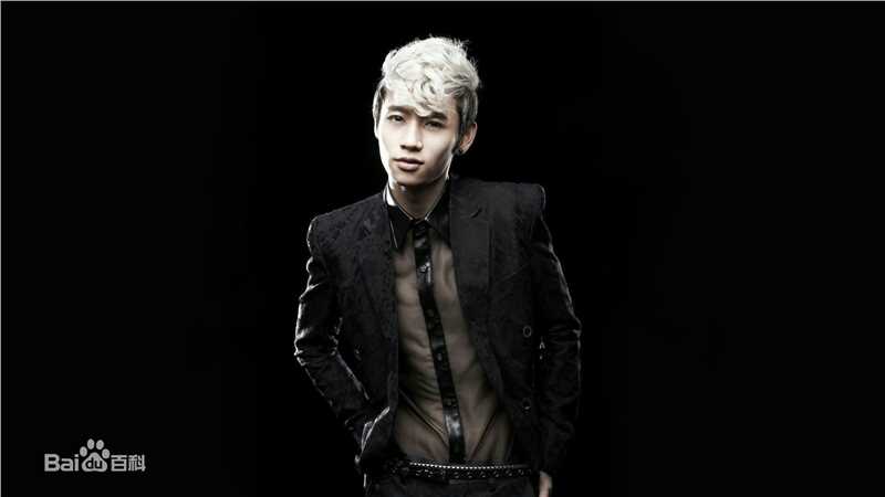 最新魏晨(Vision Wei)在2011专辑《破晓》中的壁纸