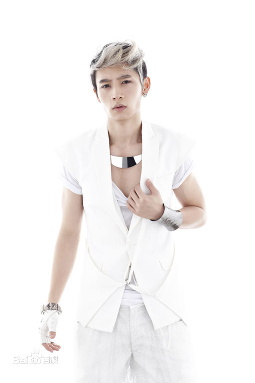 最新魏晨(Vision Wei)在2011专辑《破晓》中的壁纸