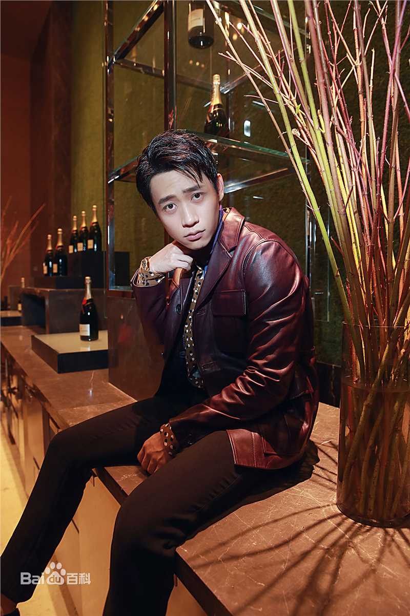 魏晨(Vision Wei)2016凤凰时尚之选前后照片