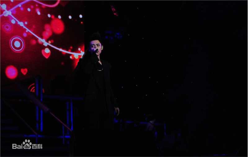 最全魏晨(Vision Wei)精彩图册