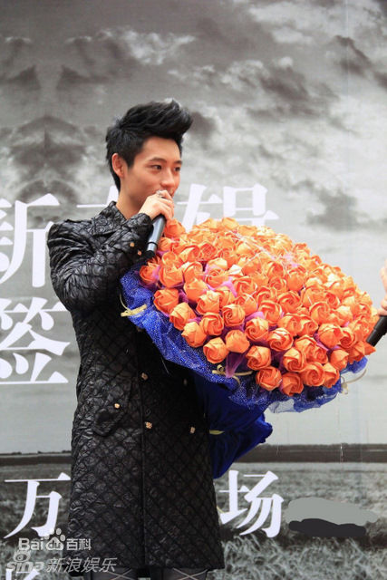 最全魏晨(Vision Wei)精彩图册