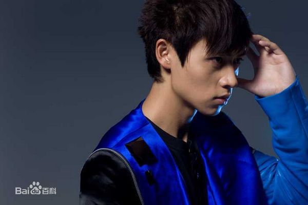 最新魏晨(Vision Wei)在2010专辑《千方百计》中的壁纸