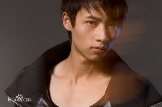 最新魏晨(Vision Wei)在2010专辑《千方百计》中的壁纸