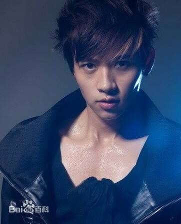 最新魏晨(Vision Wei)在2010专辑《千方百计》中的壁纸