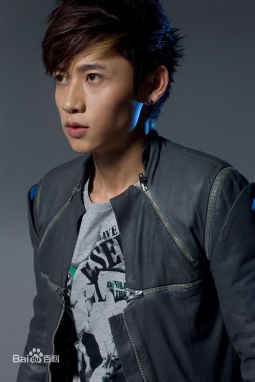 最新魏晨(Vision Wei)在2010专辑《千方百计》中的壁纸