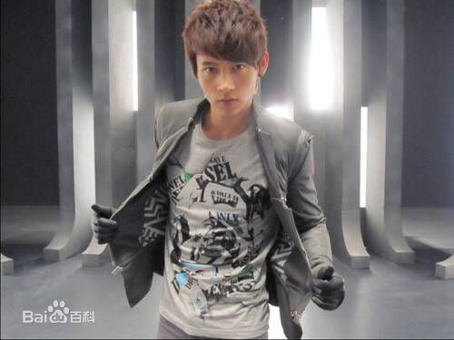 最新魏晨(Vision Wei)在2010专辑《千方百计》中的壁纸