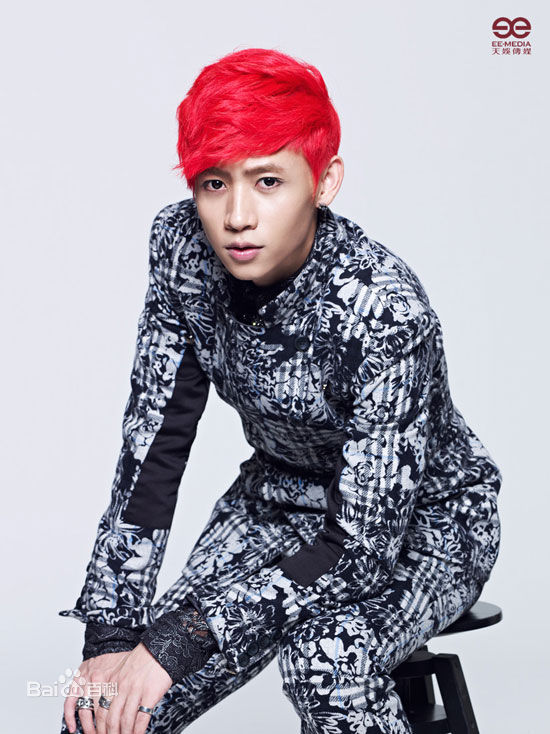 最新魏晨(Vision Wei)在2012专辑《V SPACE》中的图集