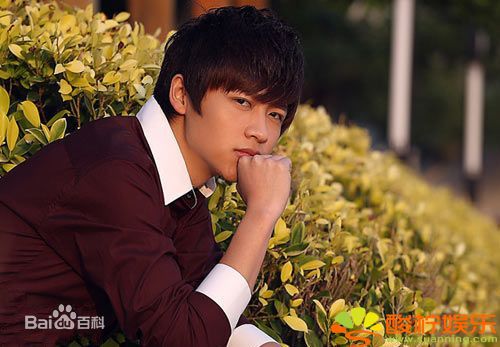 最优质魏晨(Vision Wei)在《一起来看流星雨》饰叶烁中的相册