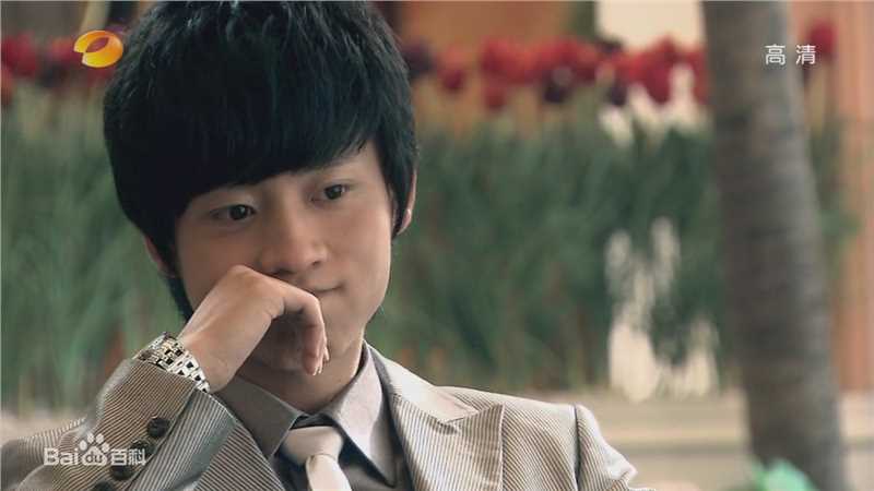 最优质魏晨(Vision Wei)在《一起来看流星雨》饰叶烁中的相册