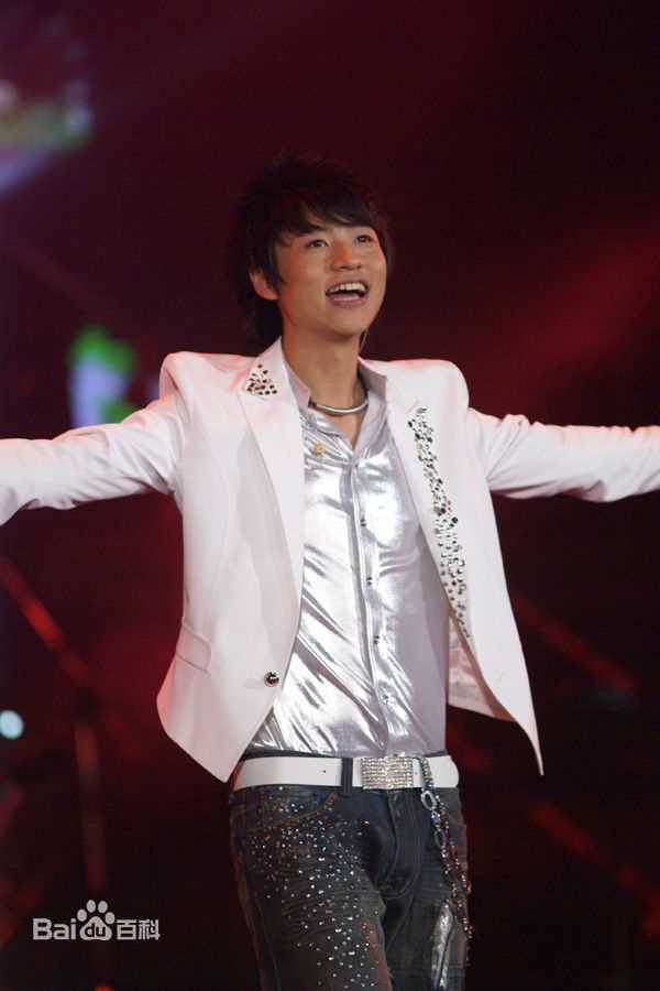 魏晨(Vision Wei)2007年快乐男声全国巡演-上海站壁纸壁纸