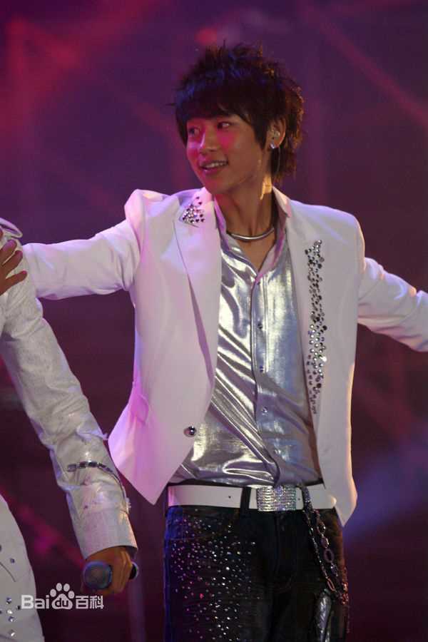 魏晨(Vision Wei)2007年快乐男声全国巡演-上海站壁纸壁纸