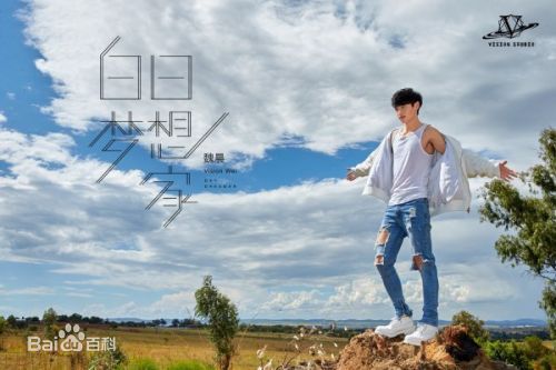 最优质魏晨(Vision Wei)在《白日梦想家》宣传图中的相册