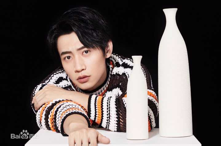 魏晨(Vision Wei)概述图册生活照相册