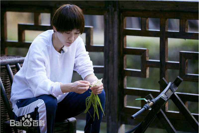 刘雅瑟(Cya Liu)x向往的生活性感图片图集