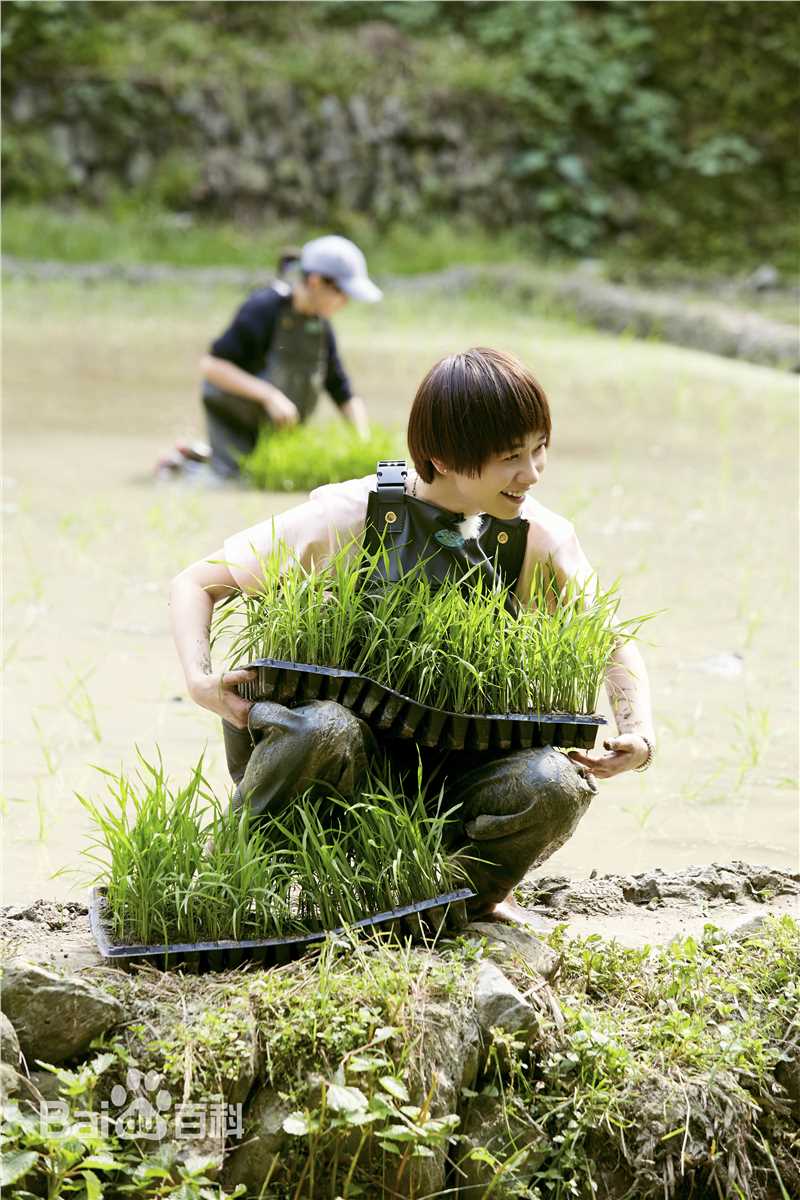 刘雅瑟(Cya Liu)x向往的生活性感图片图集