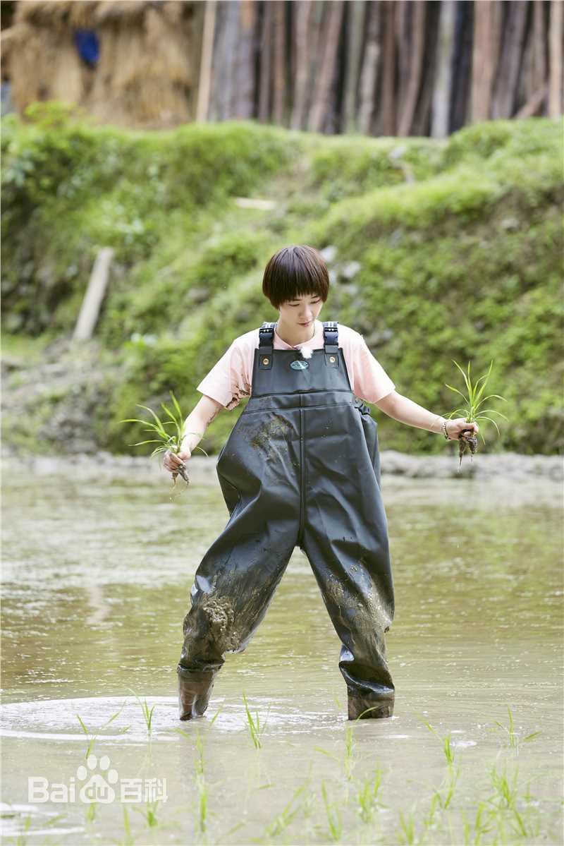 刘雅瑟(Cya Liu)x向往的生活性感图片图集