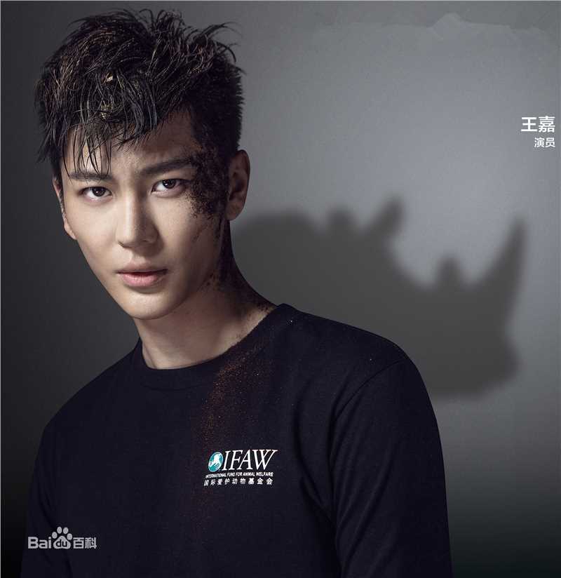 王嘉(Jevon Wang)精选活动图册